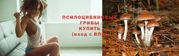 хмурый Абаза