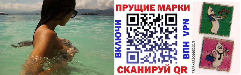где купить наркоту  площадка клад  Марки 25I-NBOMe 1,8мг  Староминская 